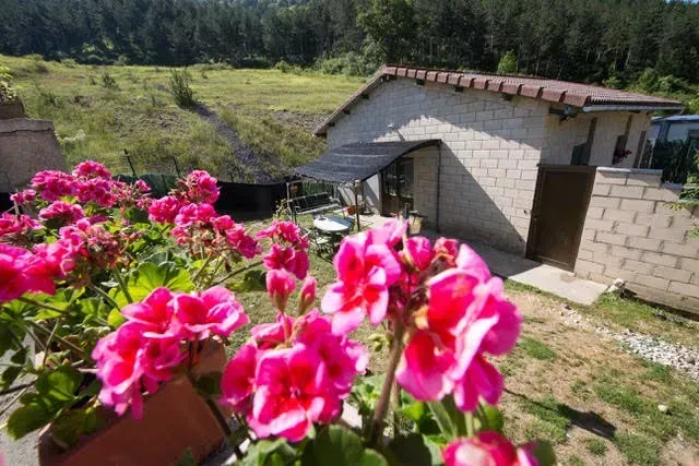 Flores rosas frente a una pequeña casa blanca con techo inclinado en un jardín rural cubierto de hierba.