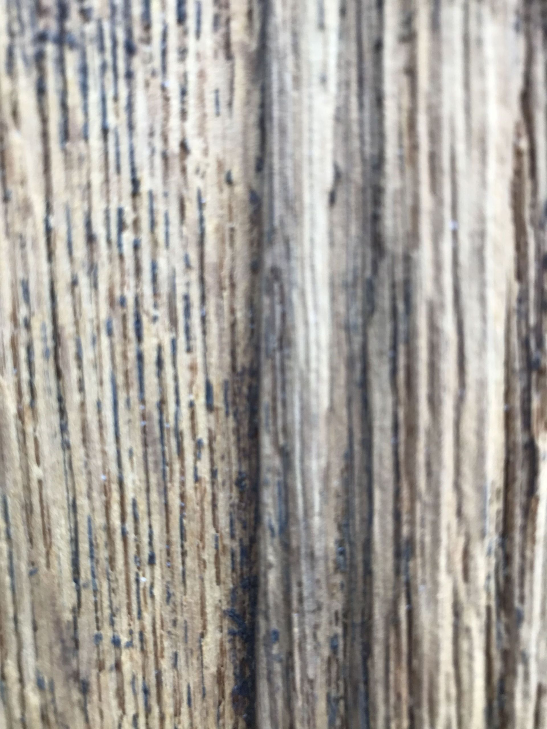 Sandstrahlmuster auf Eichentüre 2 - Malergeschäft Richner