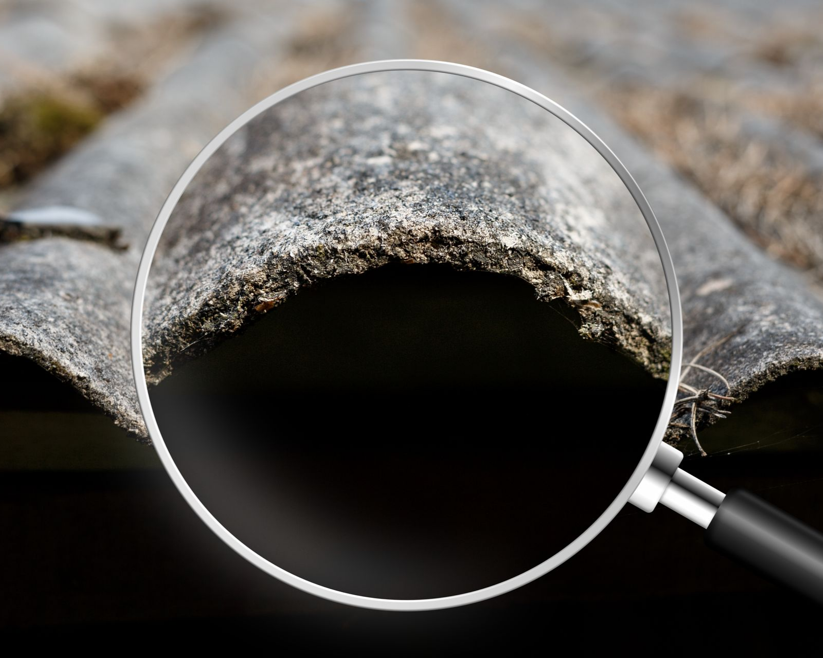 Loupe au-dessus d'un toit en amiante gris délavé par les intempéries.