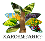 XARCEMO AGRO