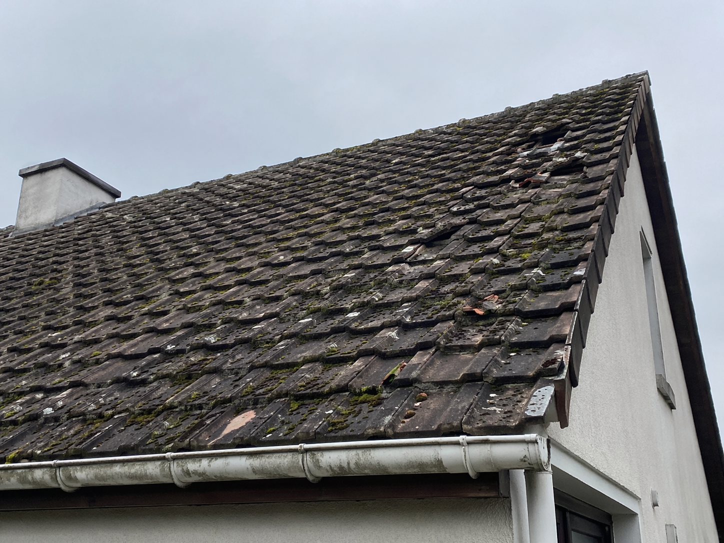 Vue en plongée d'un toit de tuiles en terre cuite orange vif.