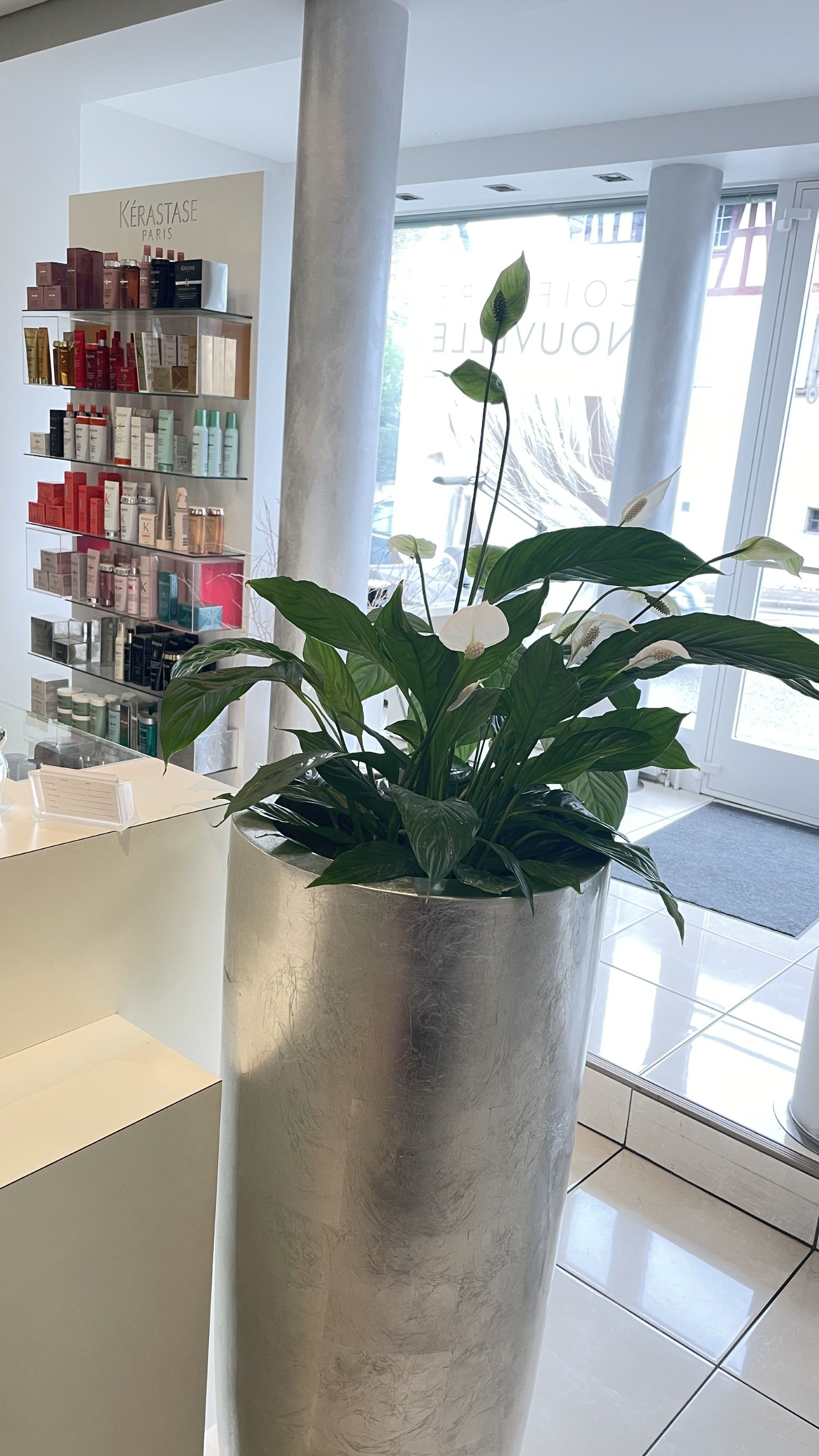 Silberner Blumentopf mit einer Friedenslilie darin, neben einer Produktausstellung in einem Salon.