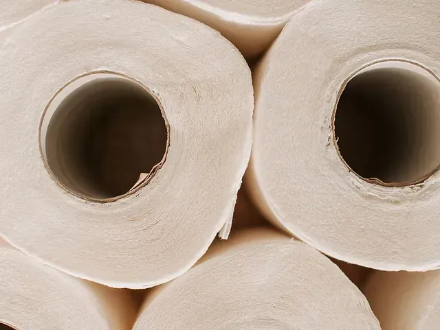 Dos rollos de papel higiénico están apilados uno encima del otro