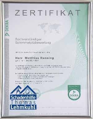 Gerahmte deutsche Urkunde mit DEKRA-Logo und blaugrünem Design auf weißem Hintergrund