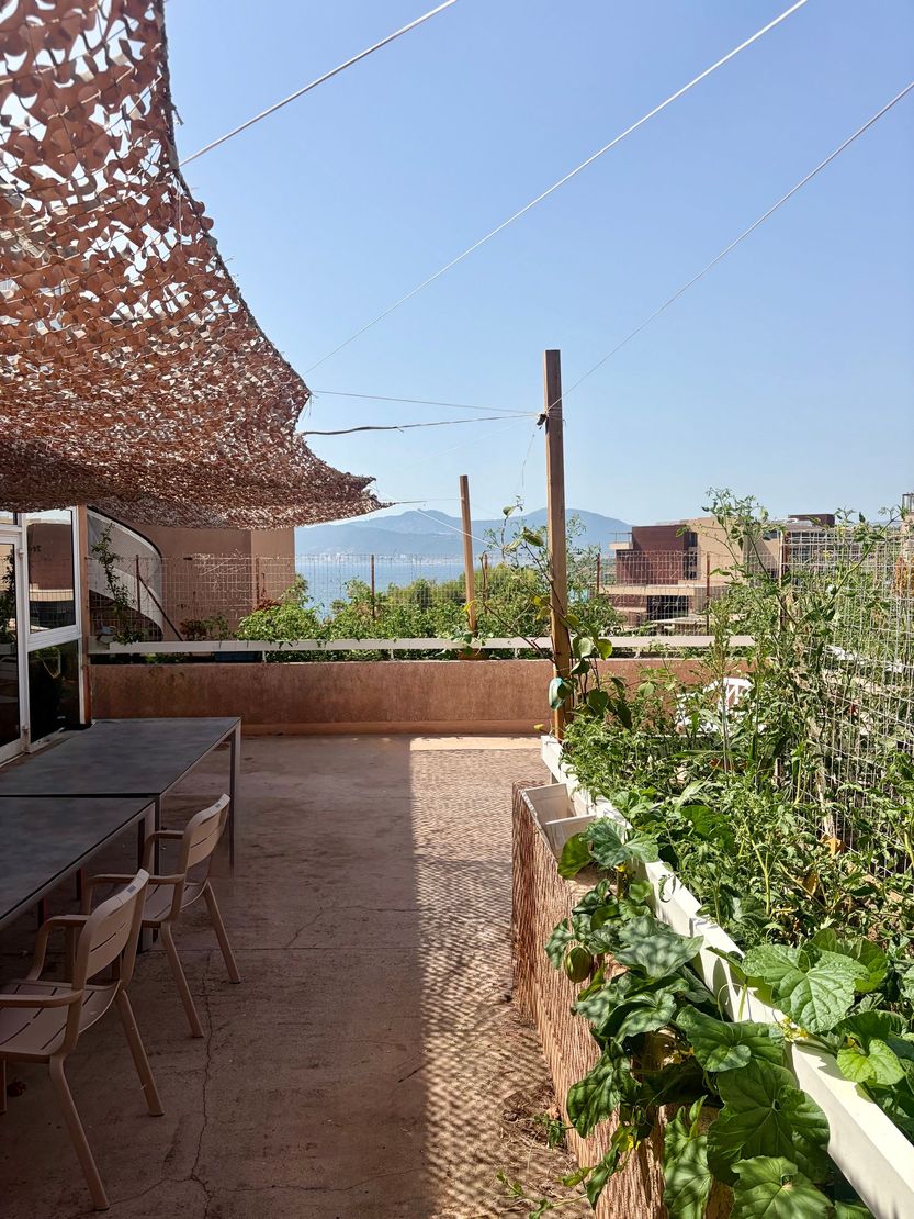 Terrasse ensoleillé avec plantes en pot, auvent ombragé et sièges extérieurs donnant sur les montagnes.