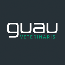 logotipo cabecera