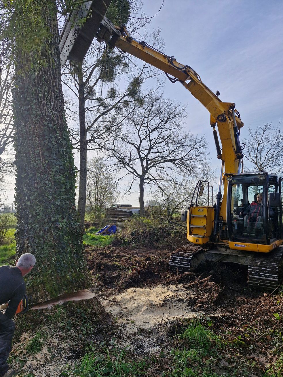 Une pelleteuse jaune déblaye une zone bordée d'arbres tandis qu'un ouvrier se tient à proximité.
