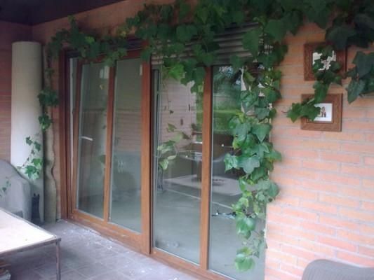 Una pared de ladrillos con una puerta corrediza de vidrio y una enredadera creciendo en ella.