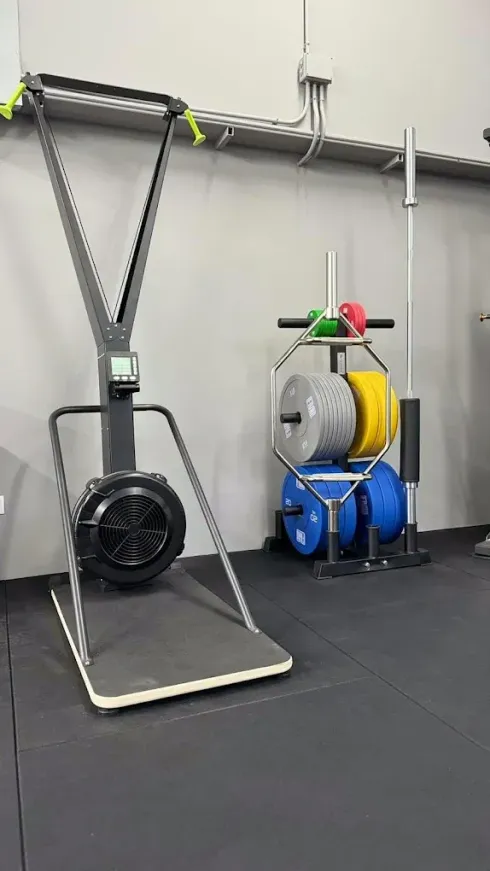Rincón de gimnasio con una máquina de remo, discos de pesas apilados y correas de suspensión contra una pared gris.