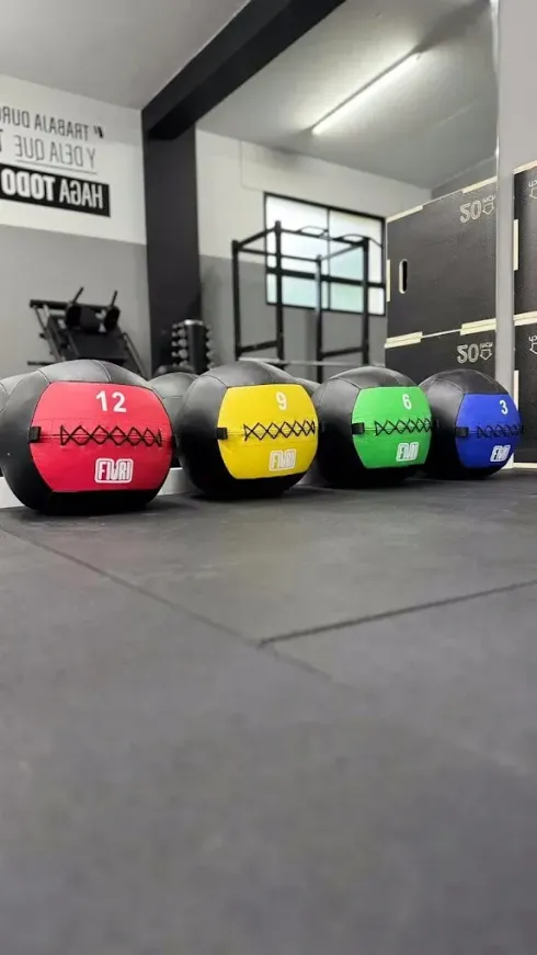 Cuatro balones medicinales de colores en un gimnasio: rojo, amarillo, verde y azul, alineados en el suelo.