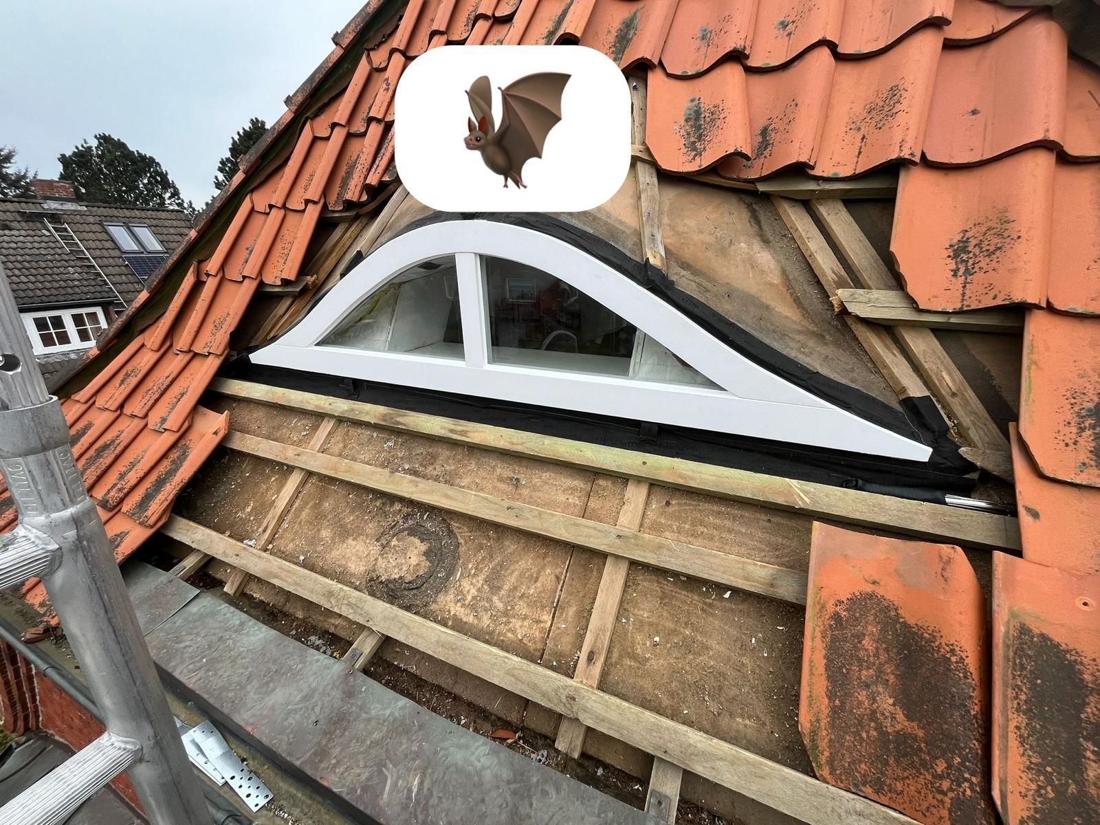 Ein Bild von einem Dach mit einer Fledermaus darauf.