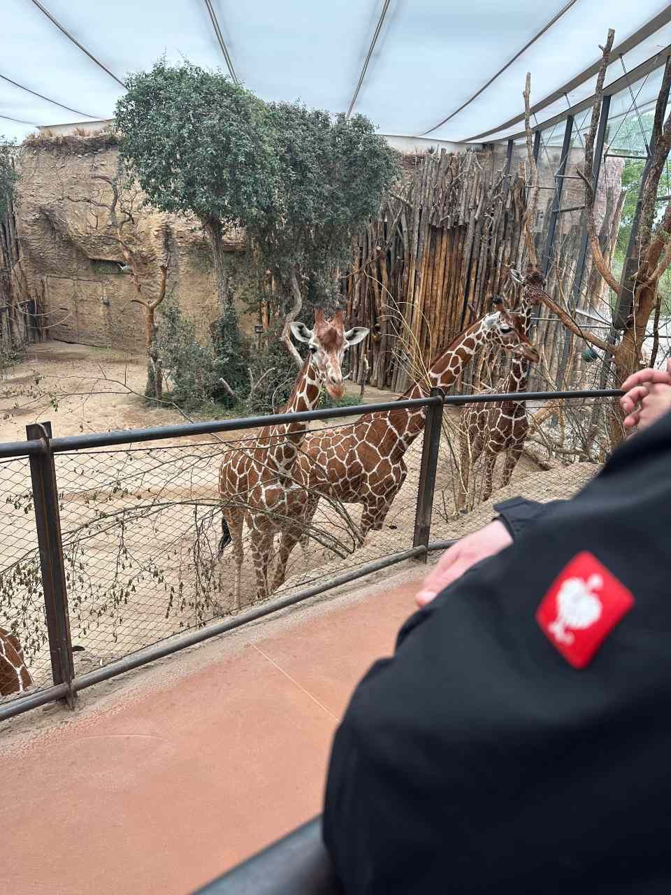 Zürcher Wohn- und Arbeitskoordinations AG
