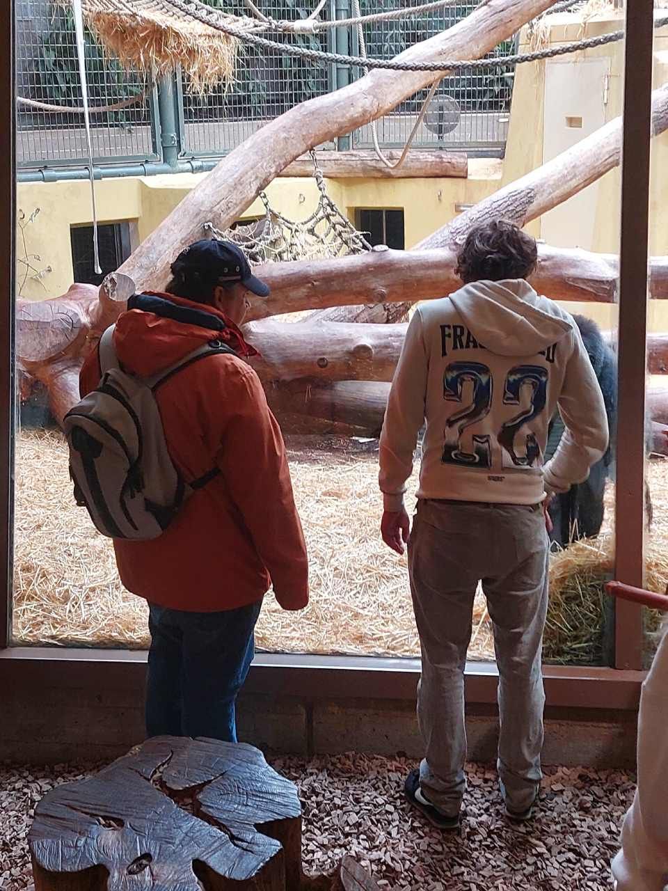 ZWAK Zürcher Wohn- und Arbeitskoordinations AG