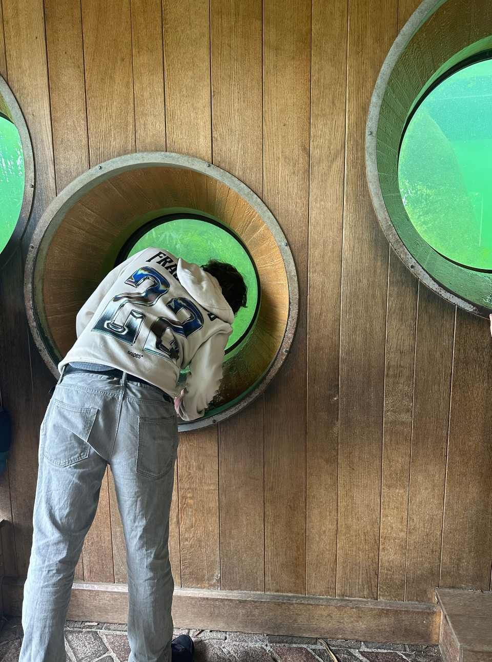 ZWAK Zürcher Wohn- und Arbeitskoordinations AG