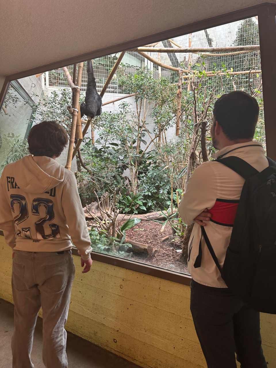 ZWAK Zürcher Wohn- und Arbeitskoordinations AG