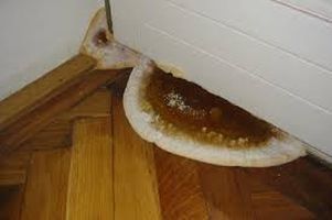 HB Holzbau Breymaier GmbH – Schimmelnder Holzfußboden in einem Wohngebäude