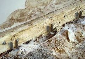 HB Holzbau Breymaier GmbH – alte Holzbalken mit Spinnweben und Verfall