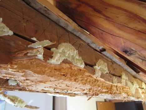 HB Holzbau Breymaier GmbH – historische Holzbalken während einer Restaurierung