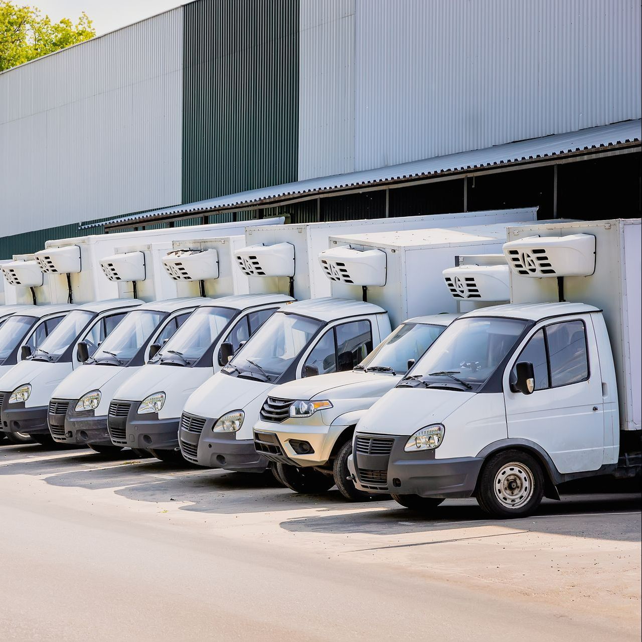 Alignement de camions frigorifiques blancs