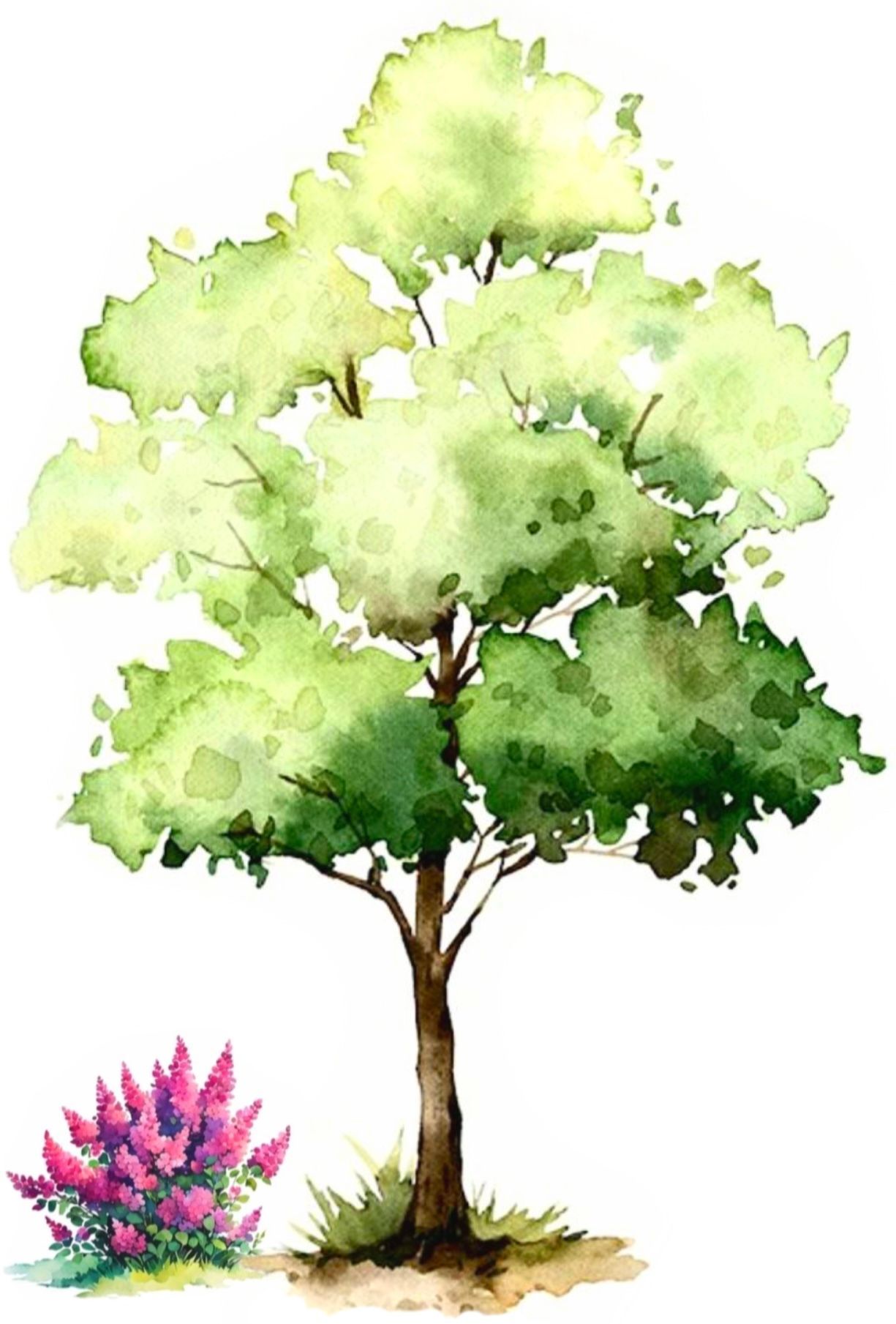 Gartenbau Thomas Cervinka | Steinbach | Logo