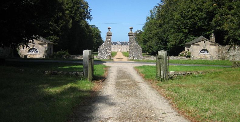 Découverte progressive par la perspective de l'avenue