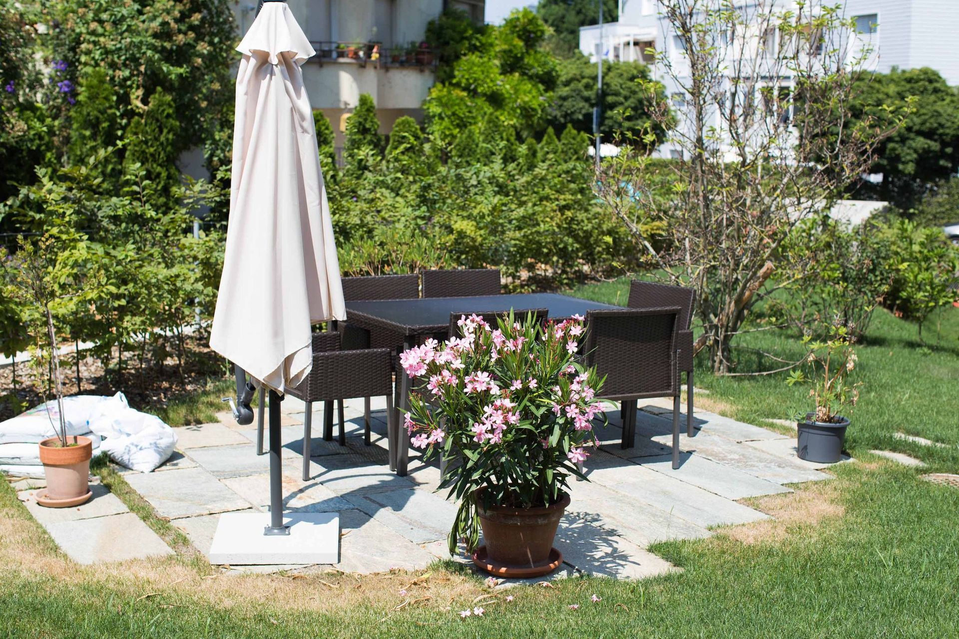 Diverses4 - Schädeli Gartenbau