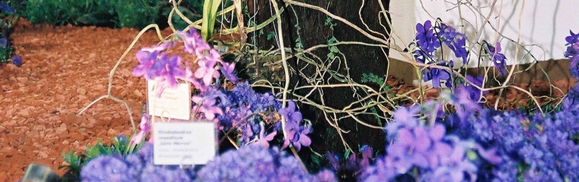 Giardina01 13 - Schädeli Gartenbau