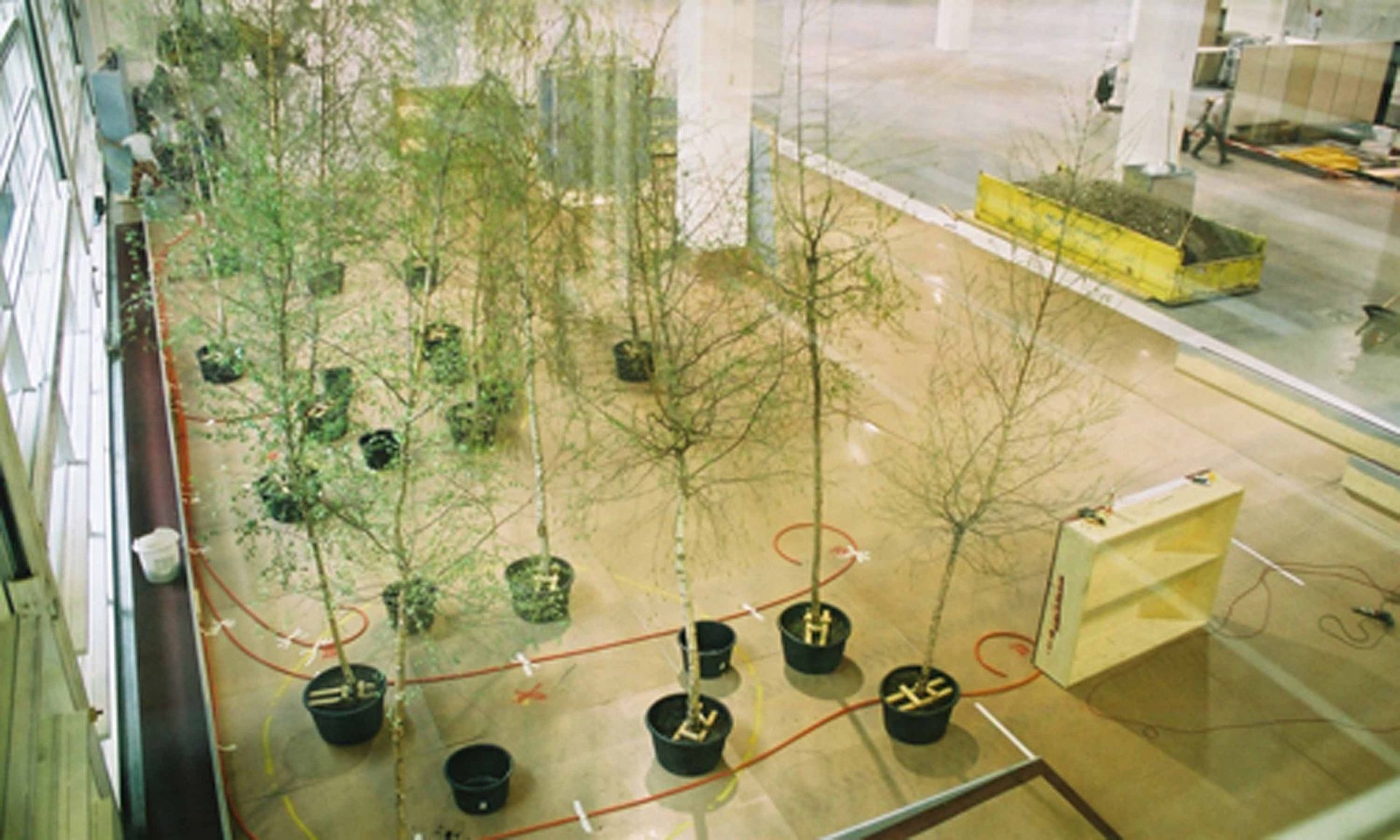 Giardina01 3 - Schädeli Gartenbau