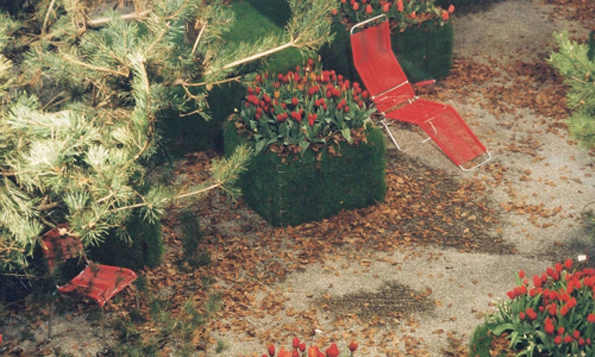 Giardina2 10 - Schädeli Gartenbau