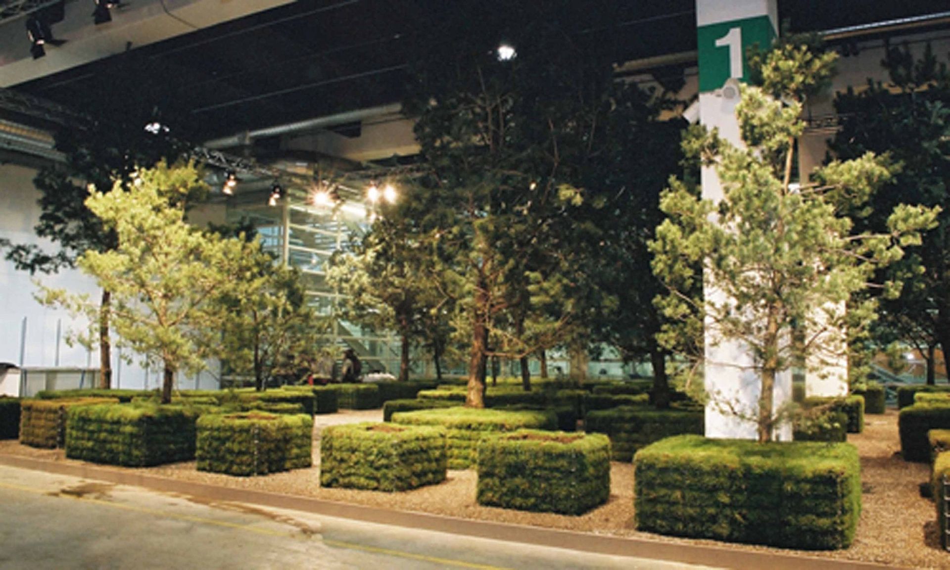 Giardina2 6 - Schädeli Gartenbau