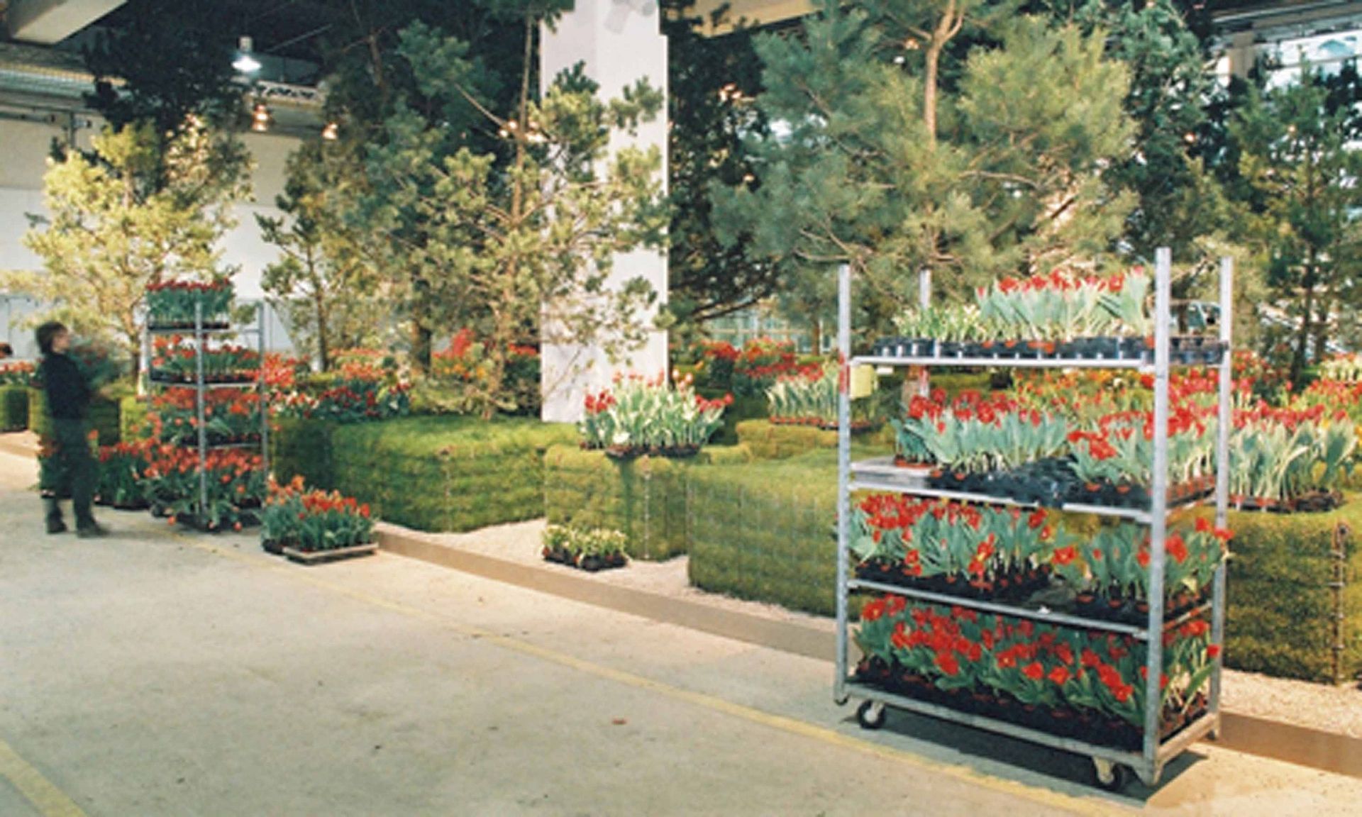 Giardina2 7 - Schädeli Gartenbau