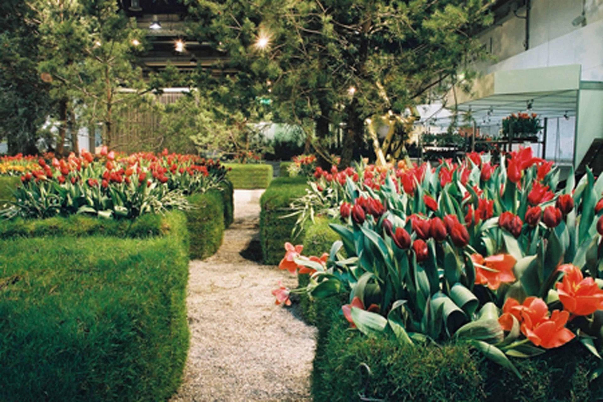 Giardina2 8 - Schädeli Gartenbau