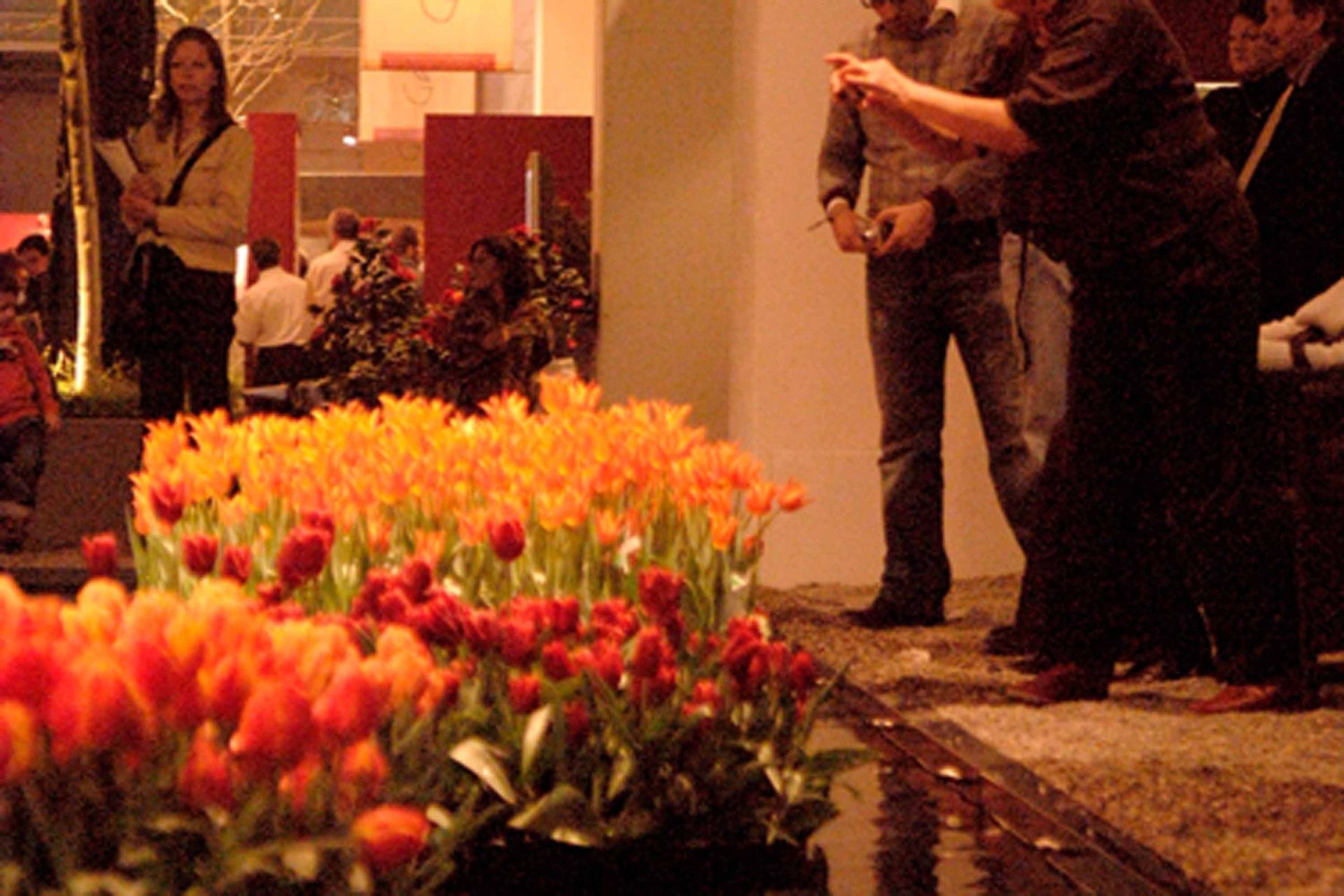 Giardina4 10 - Schädeli Gartenbau