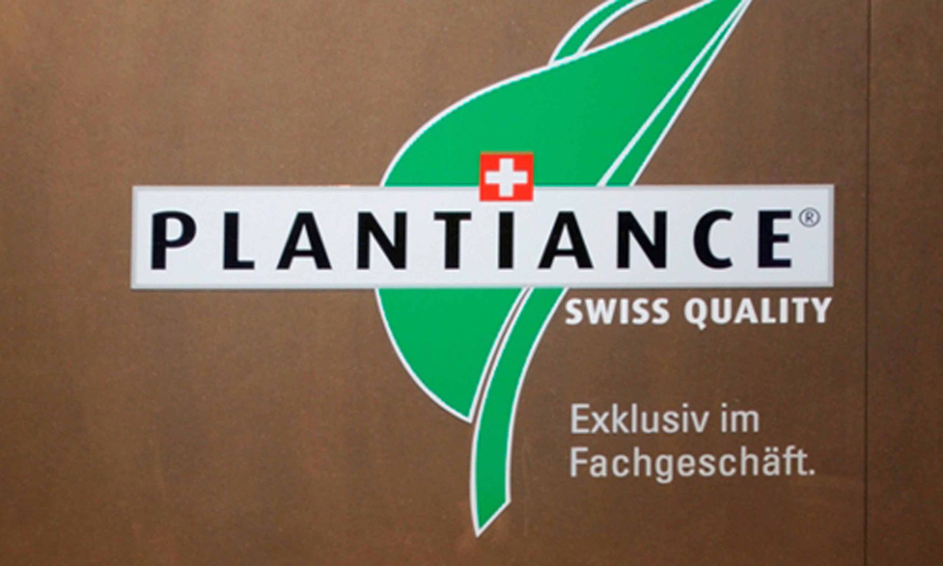 Giardina4 5 - Schädeli Gartenbau