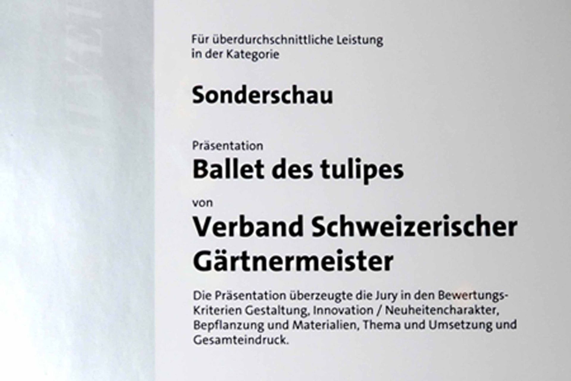 Giardina4 6 - Schädeli Gartenbau