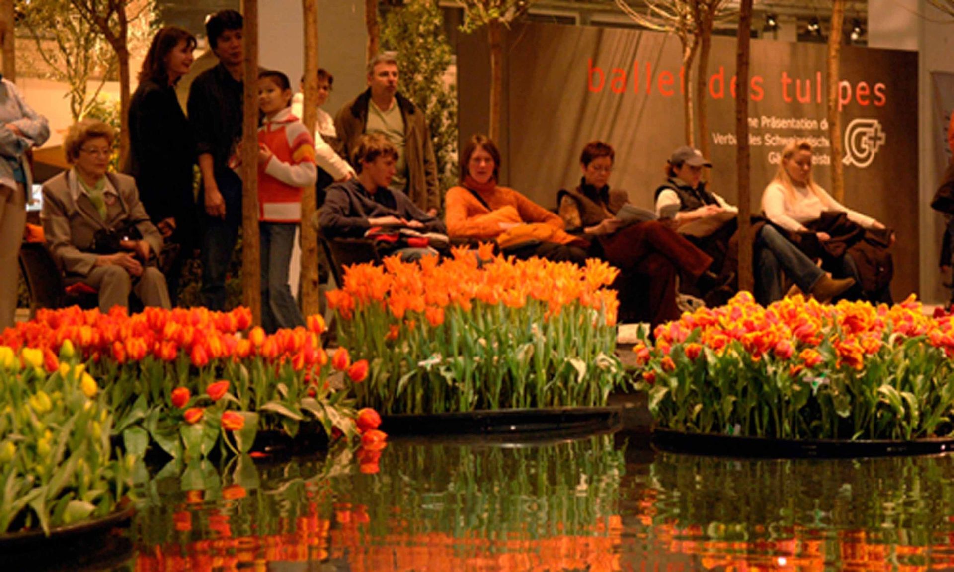 Giardina4 9 - Schädeli Gartenbau