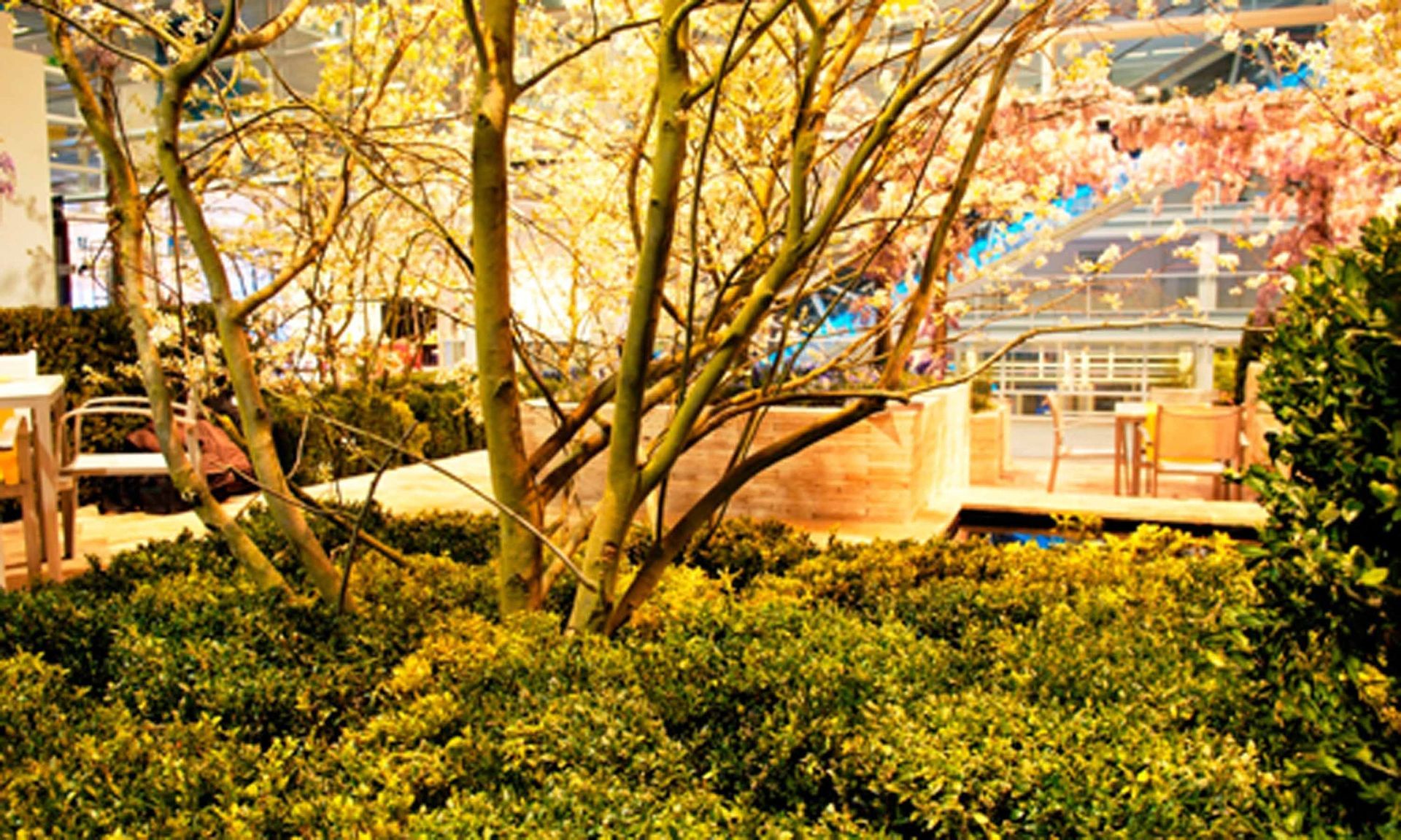 Giardina5 3 - Schädeli Gartenbau