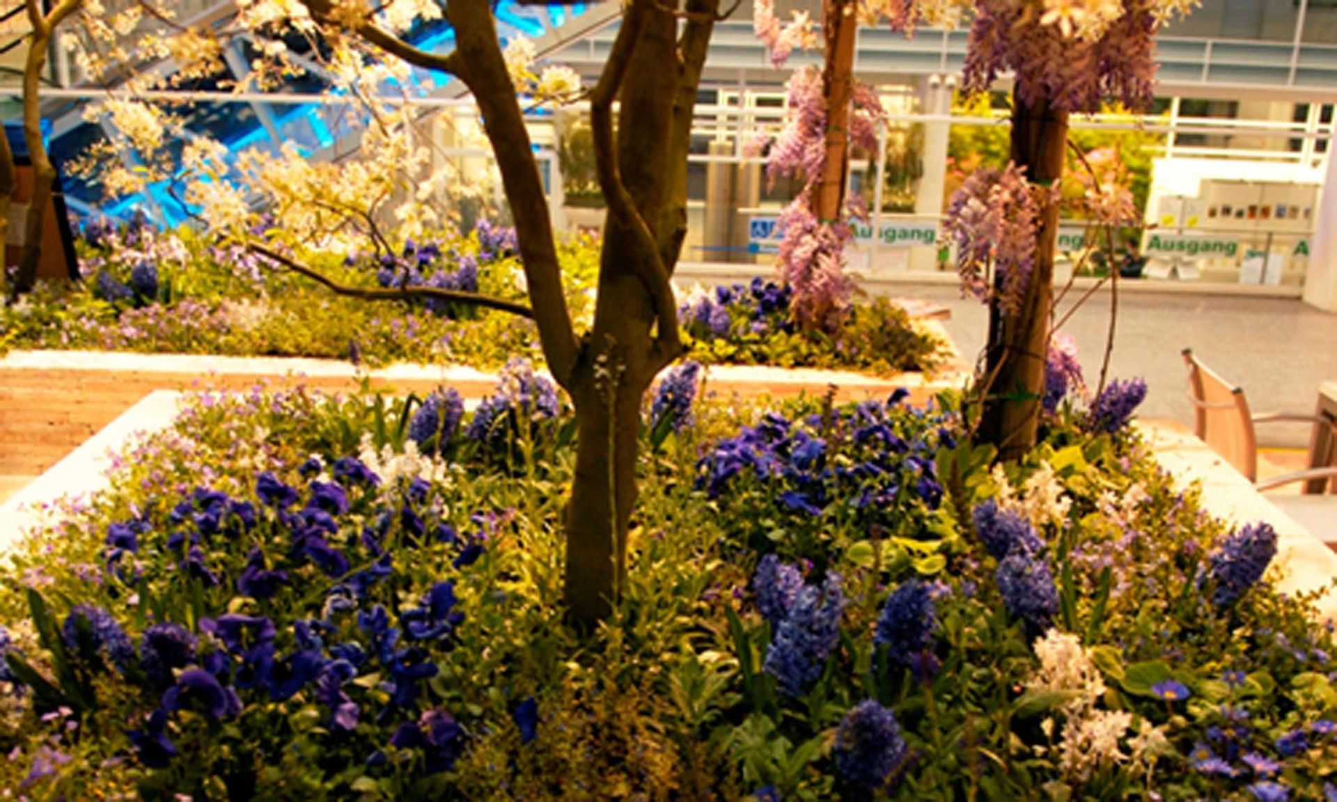 Giardina5 8 - Schädeli Gartenbau