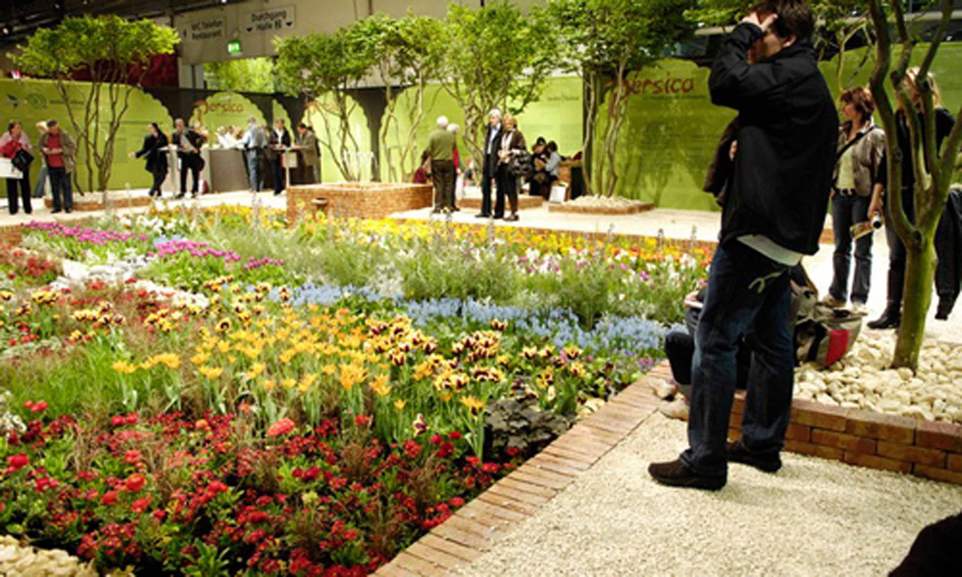 Giardina6 10 - Schädeli Gartenbau