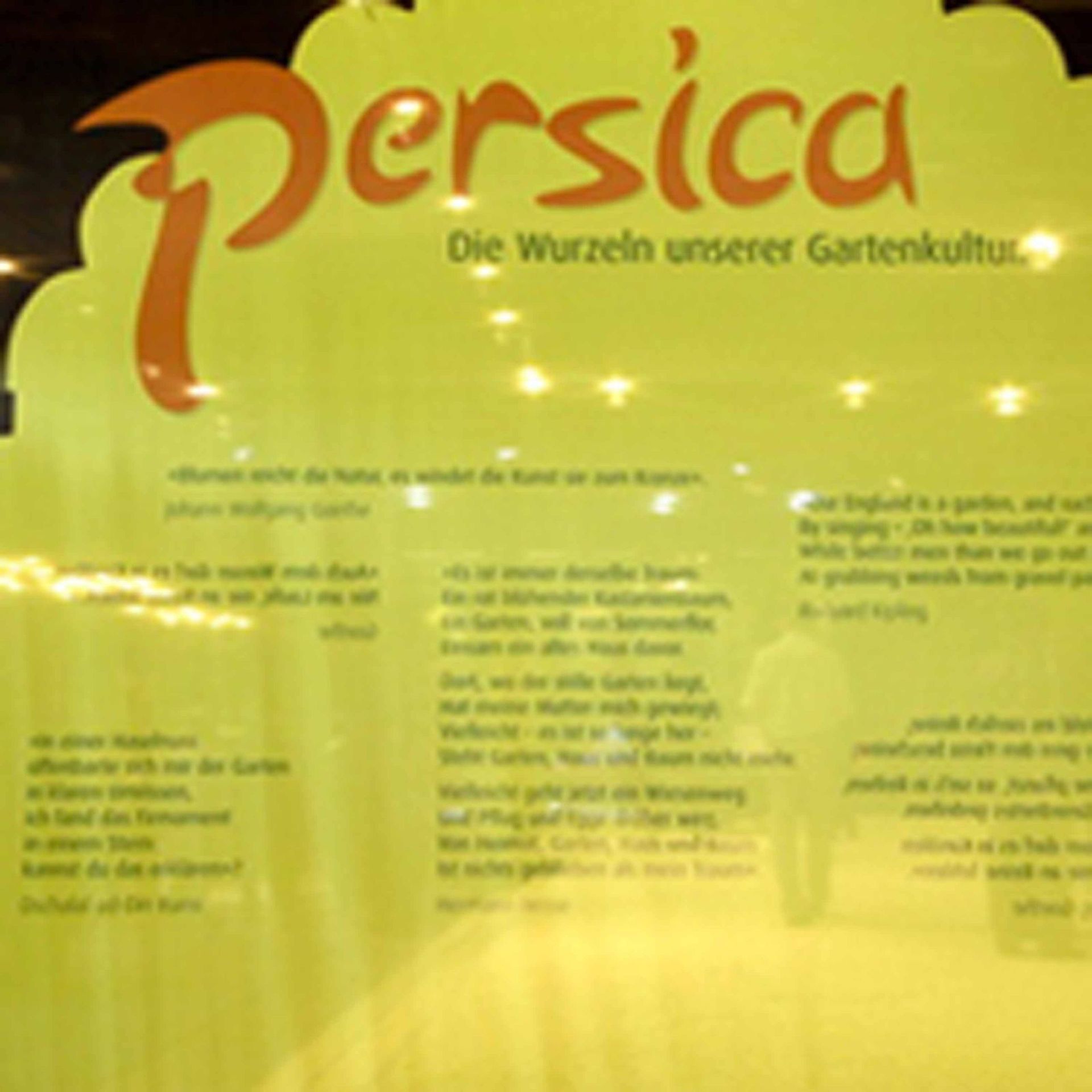 Giardina6 19 - Schädeli Gartenbau