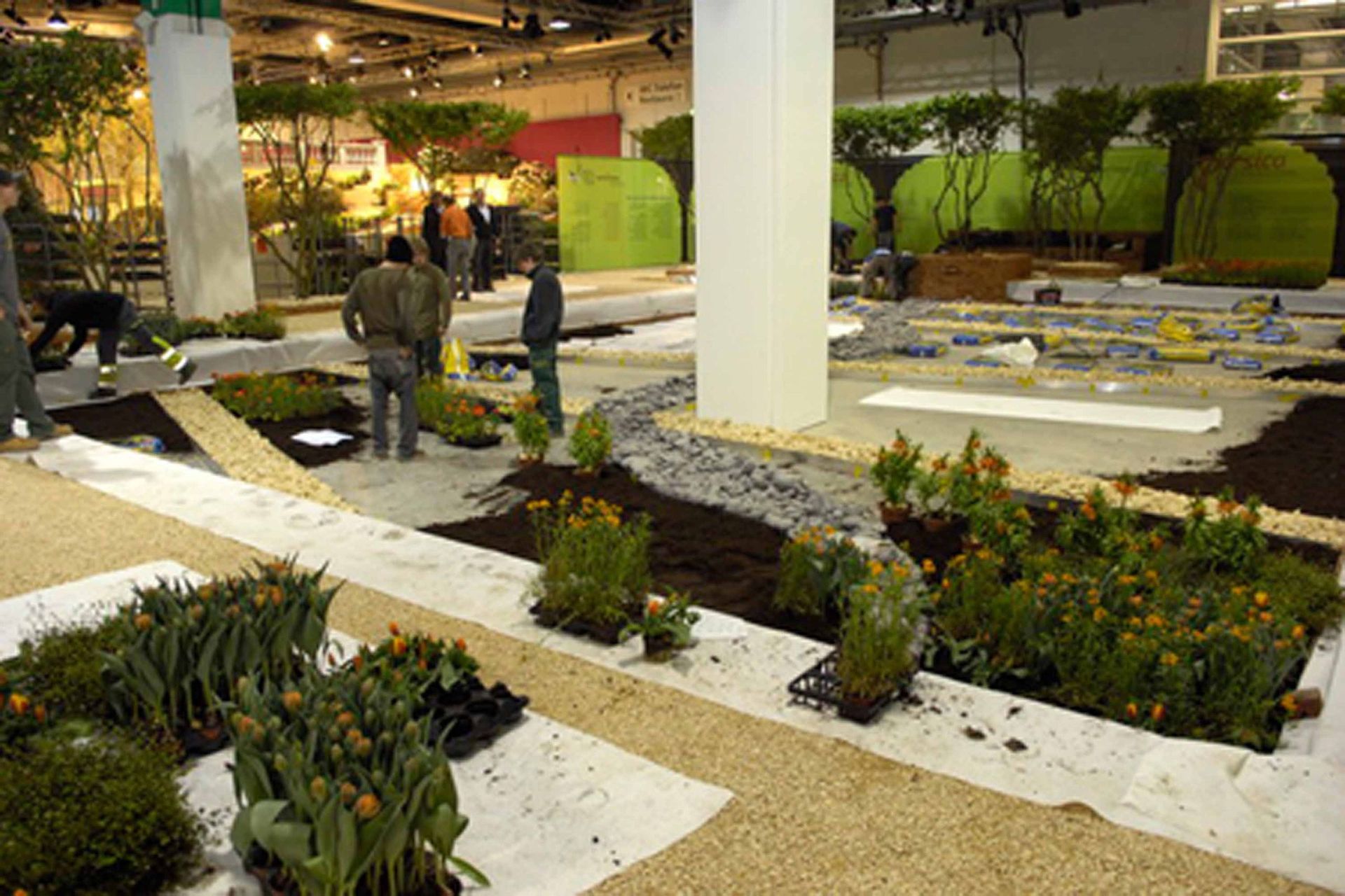 Giardina6 5- Schädeli Gartenbau