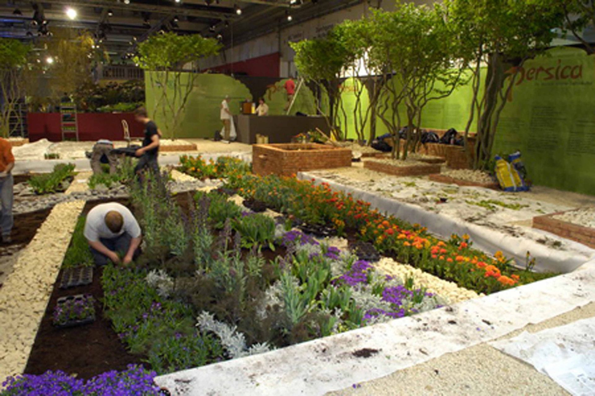 Giardina6 8- Schädeli Gartenbau