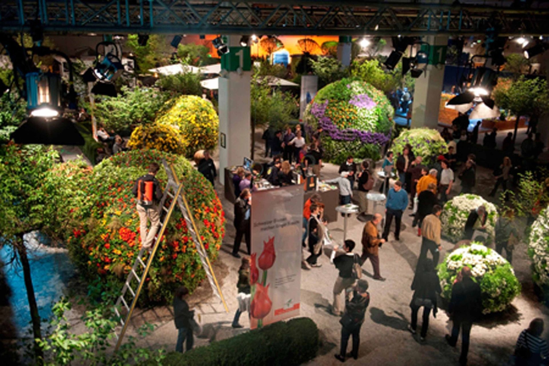 Giardina7 11- Schädeli Gartenbau