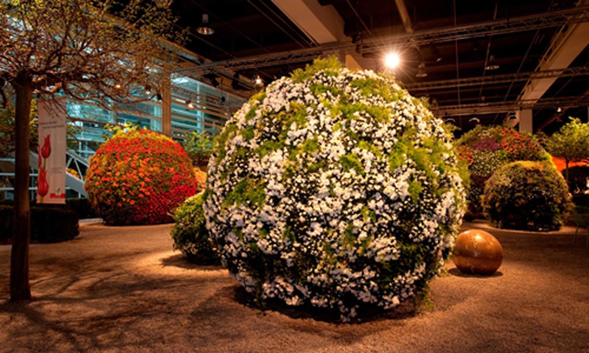 Giardina7 16 - Schädeli Gartenbau