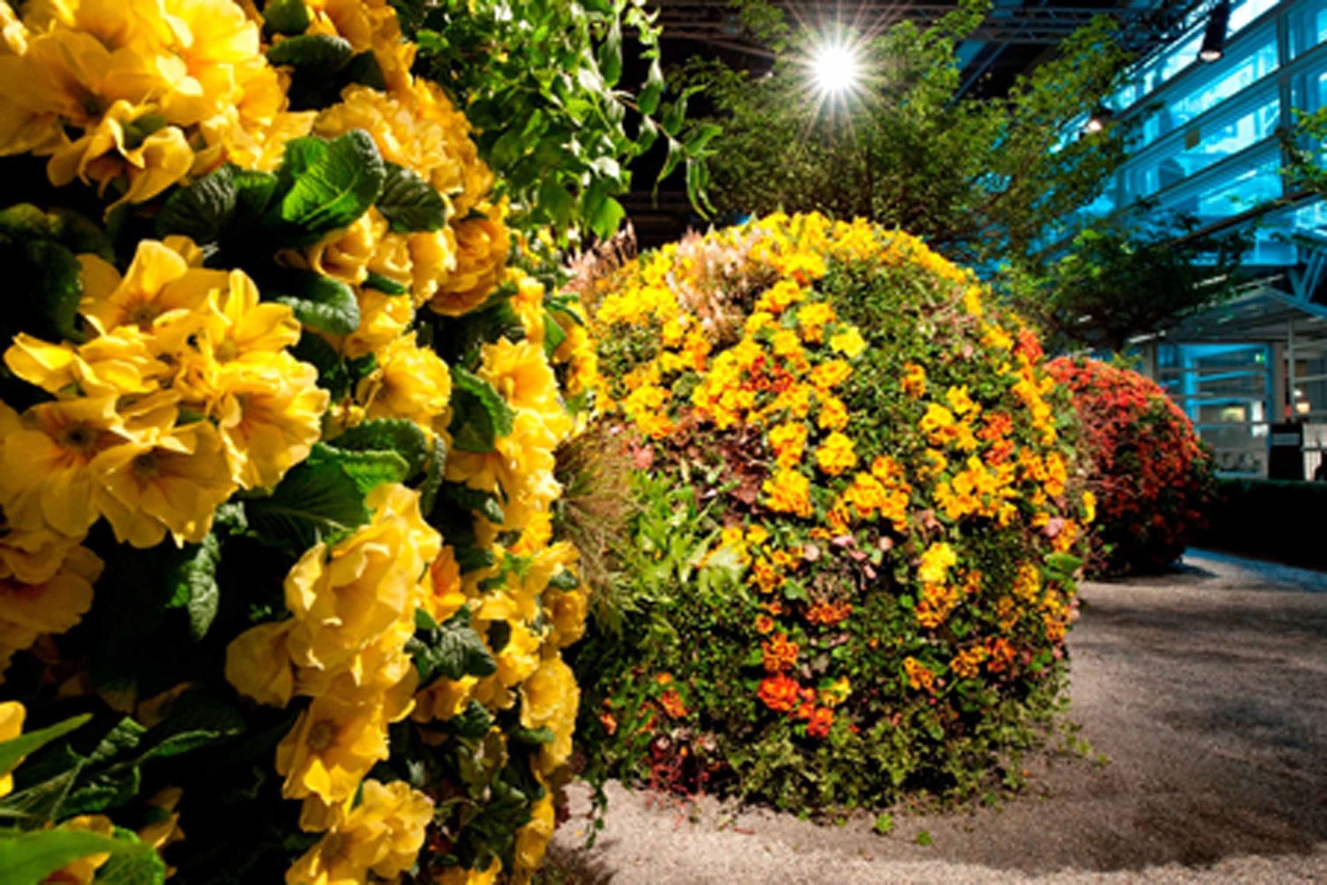 Giardina7 15 - Schädeli Gartenbau