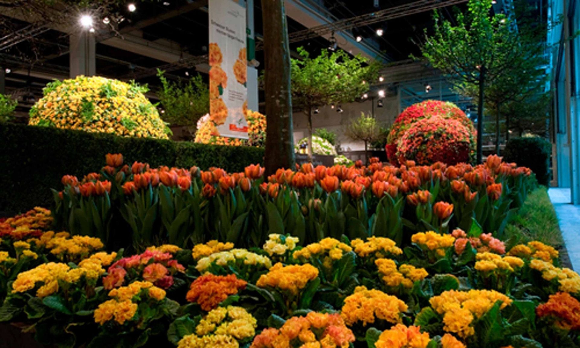 Giardina7 22 - Schädeli Gartenbau