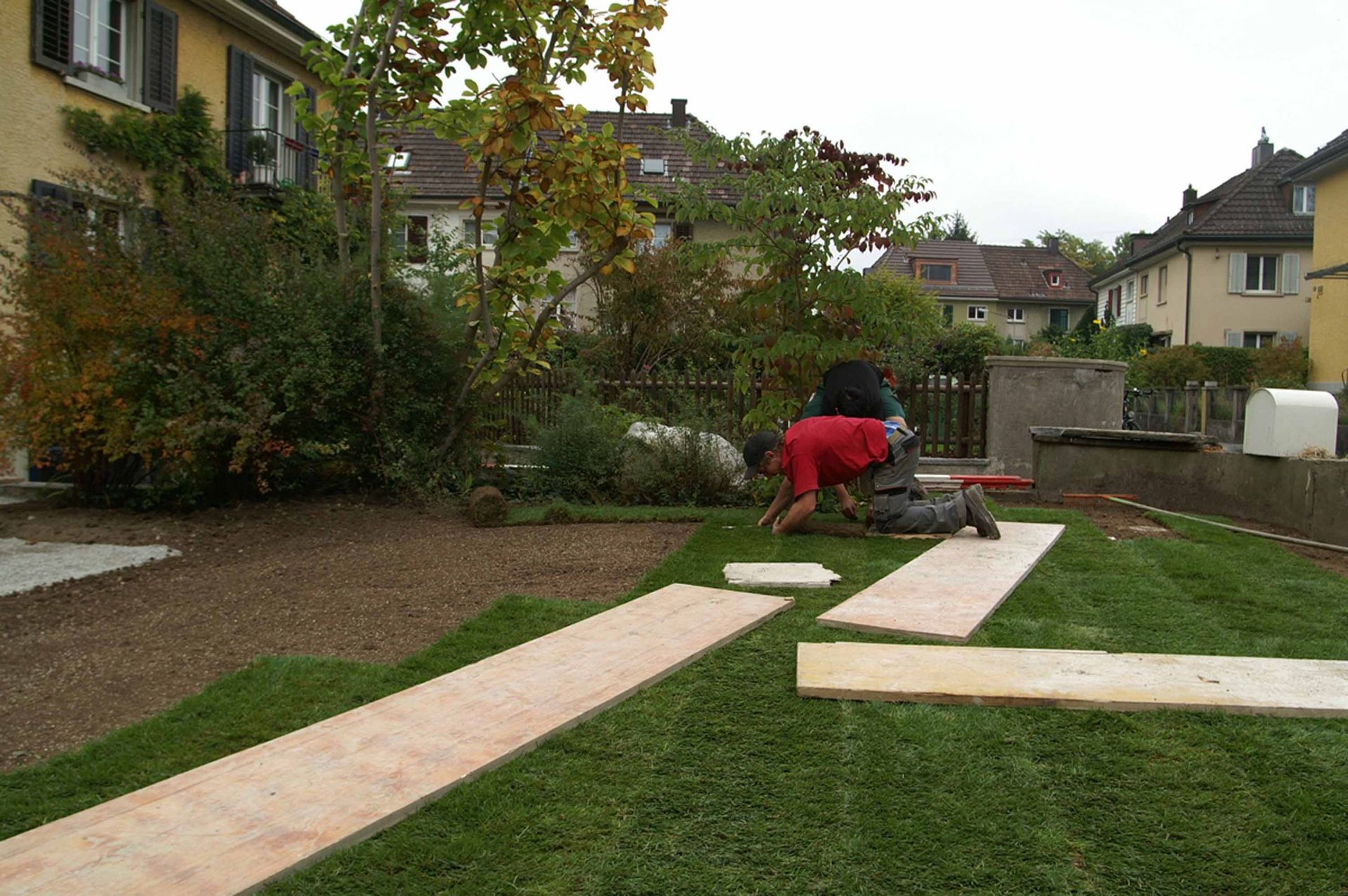 Rasen1 - Schädeli Gartenbau