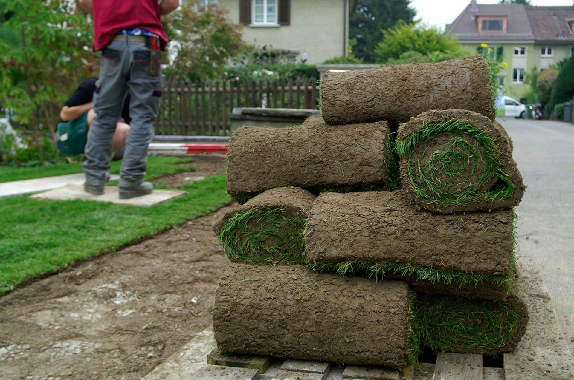 Rasen2 - Schädeli Gartenbau