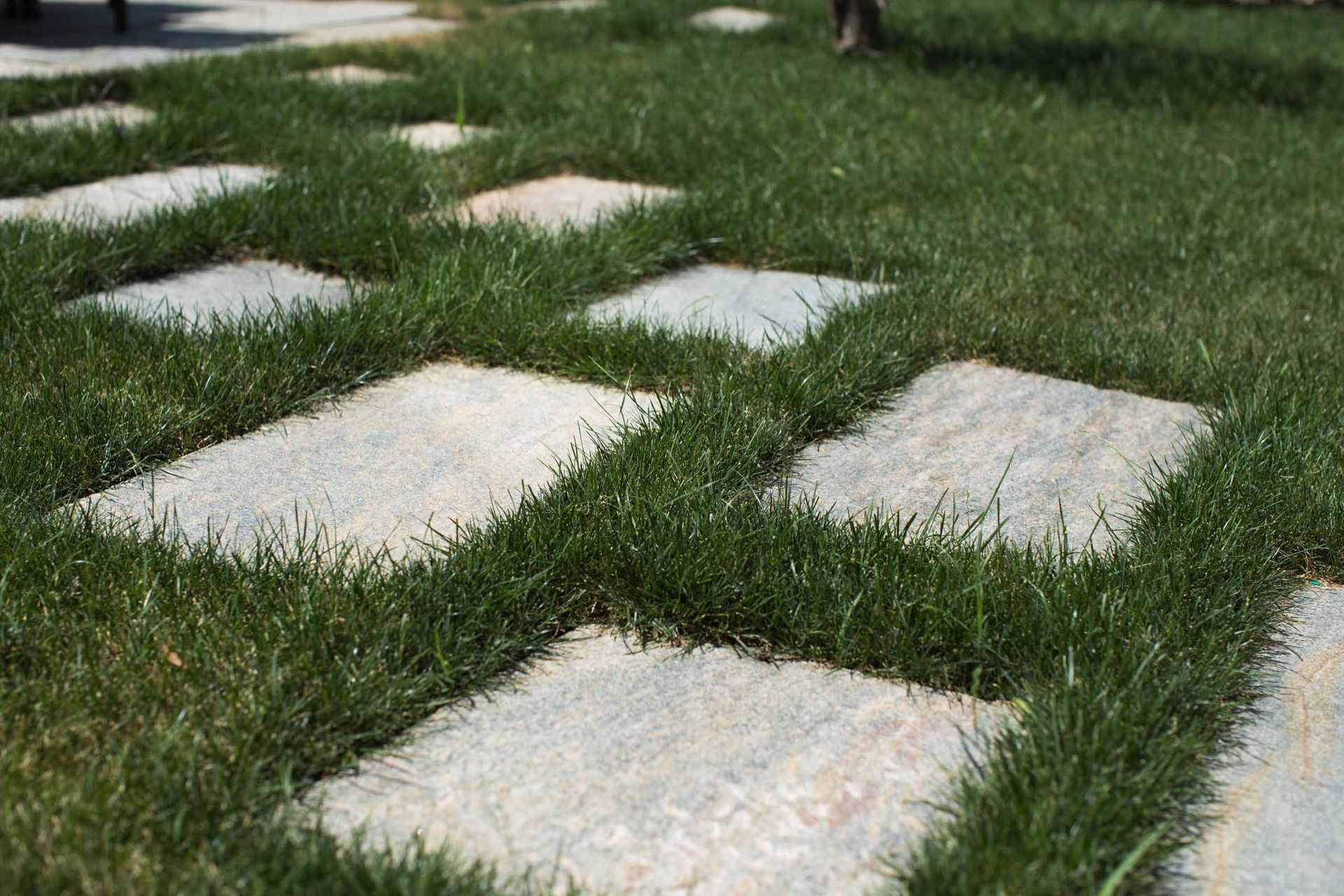 Rasen4 - Schädeli Gartenbau