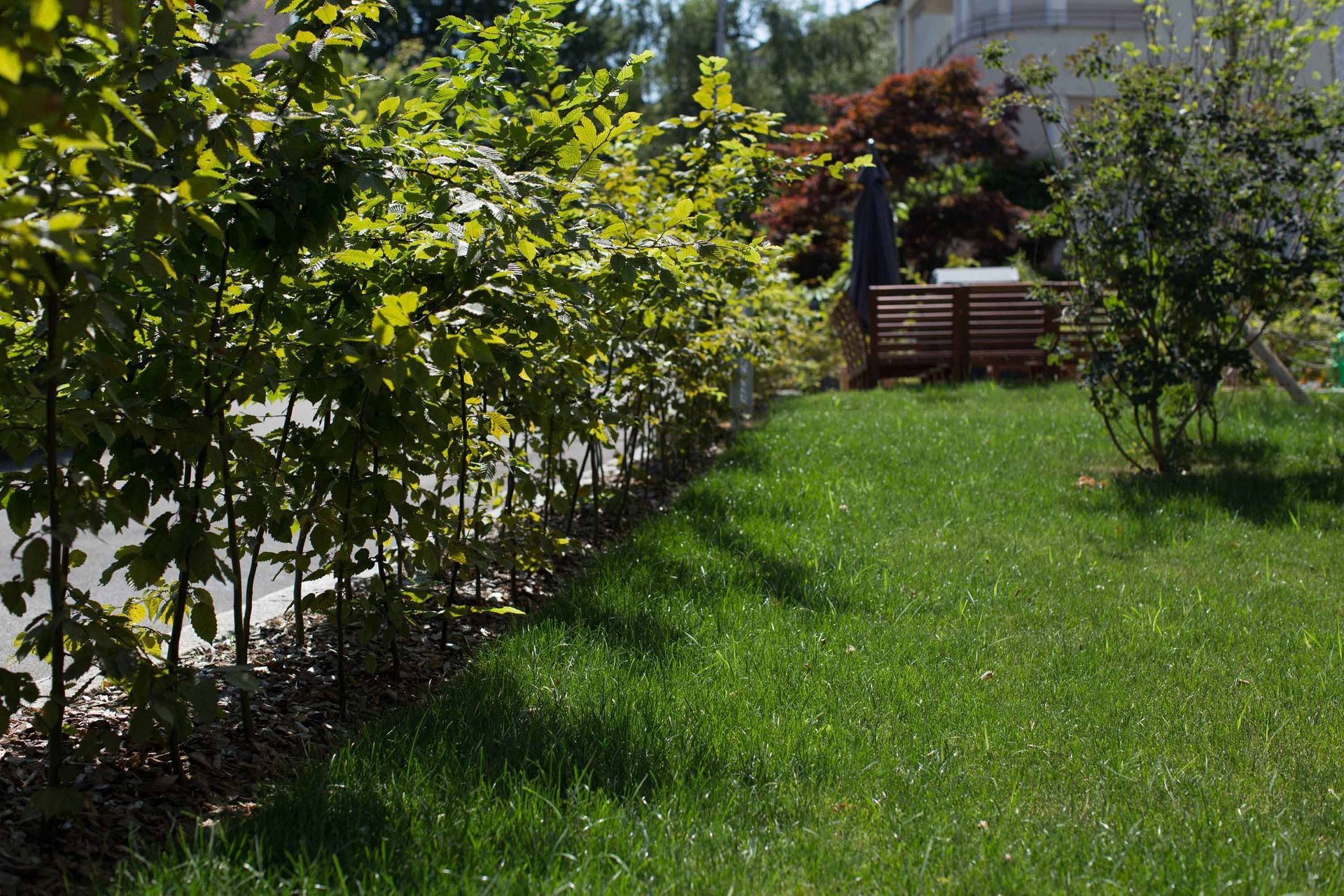 Rasen5 - Schädeli Gartenbau